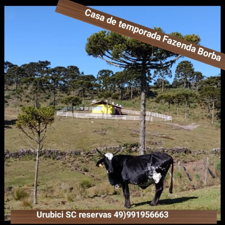 Casa E Cabana De Campo Fazenda Borba Urubici Exterior photo