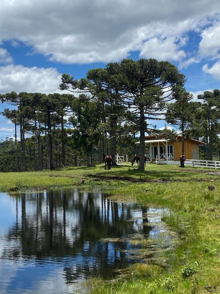 Casa E Cabana De Campo Fazenda Borba Urubici Exterior photo