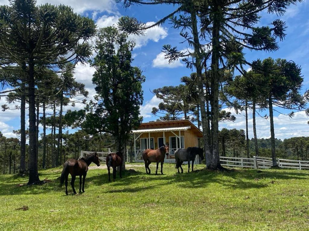Casa E Cabana De Campo Fazenda Borba Urubici Exterior photo
